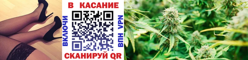 Псилоцибиновые грибы Соль-Илецк