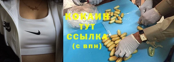 мескалин Арсеньев